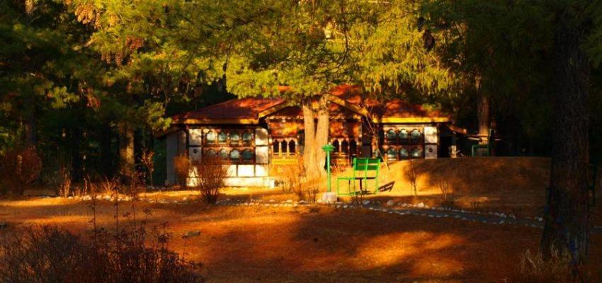 Hotel Olathang Paro Zewnętrze zdjęcie